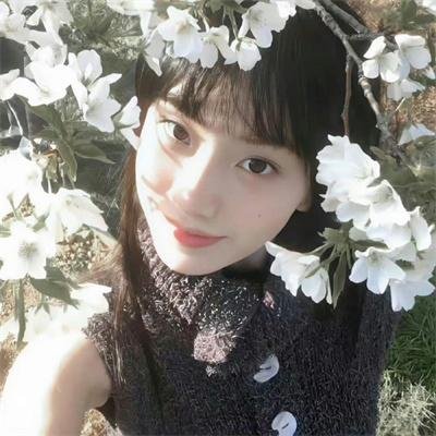 吾家有子初长成